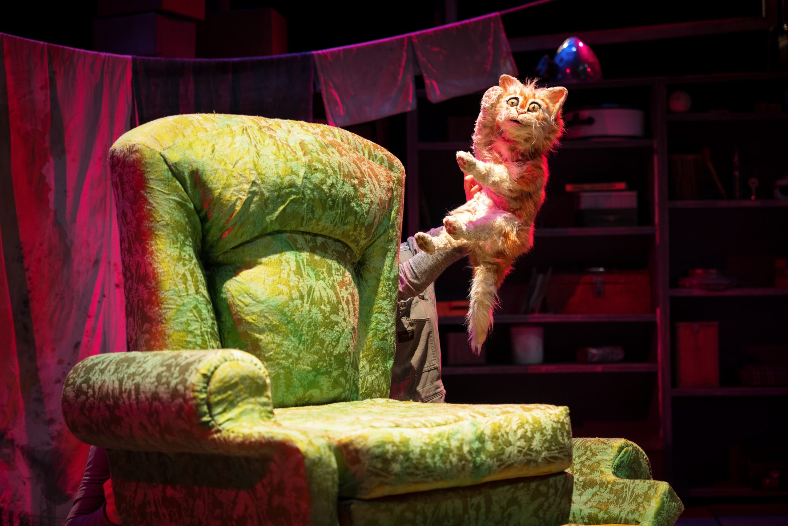 Scaredy Cat - Terrapin Puppet Theatre