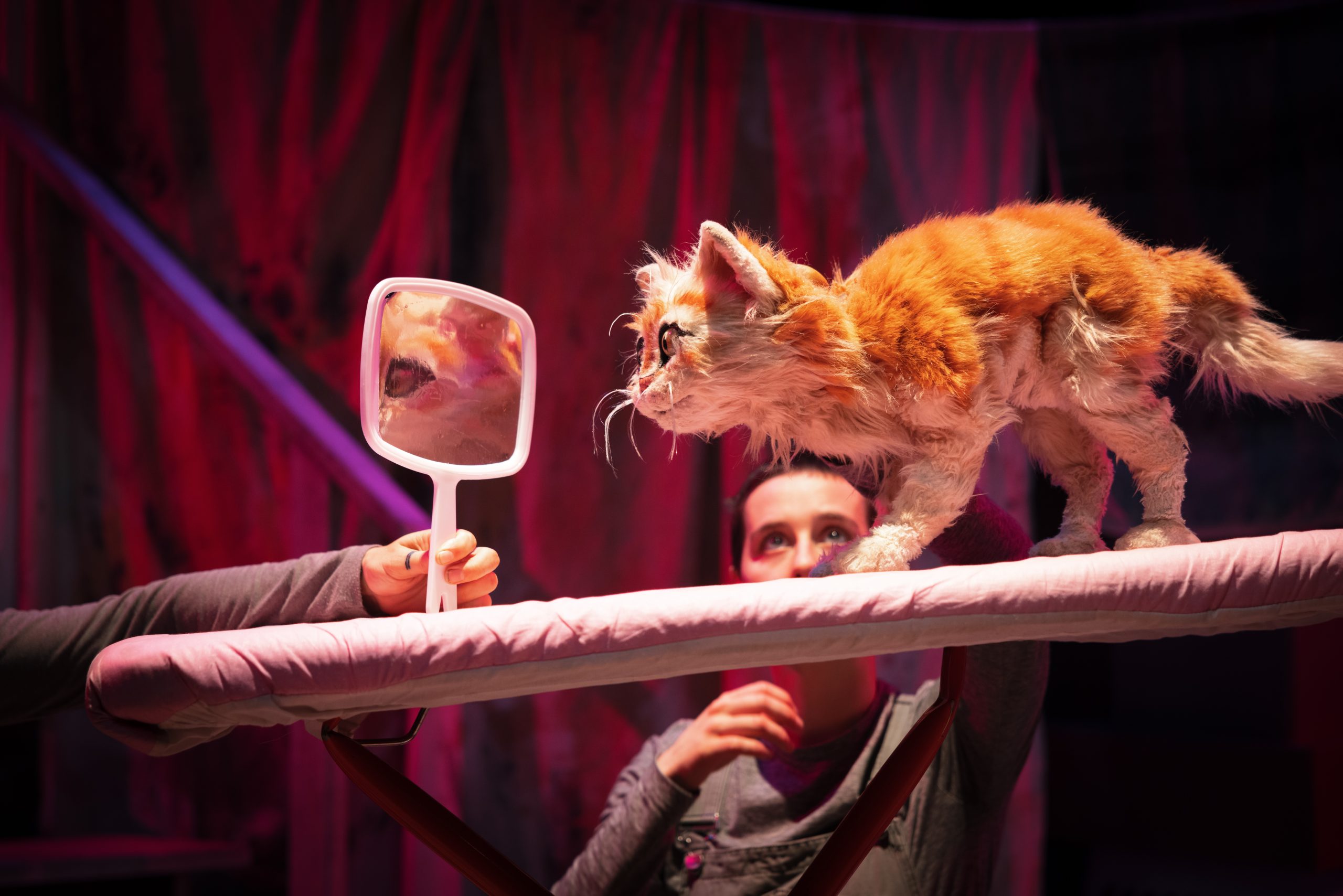 Scaredy Cat - Terrapin Puppet Theatre